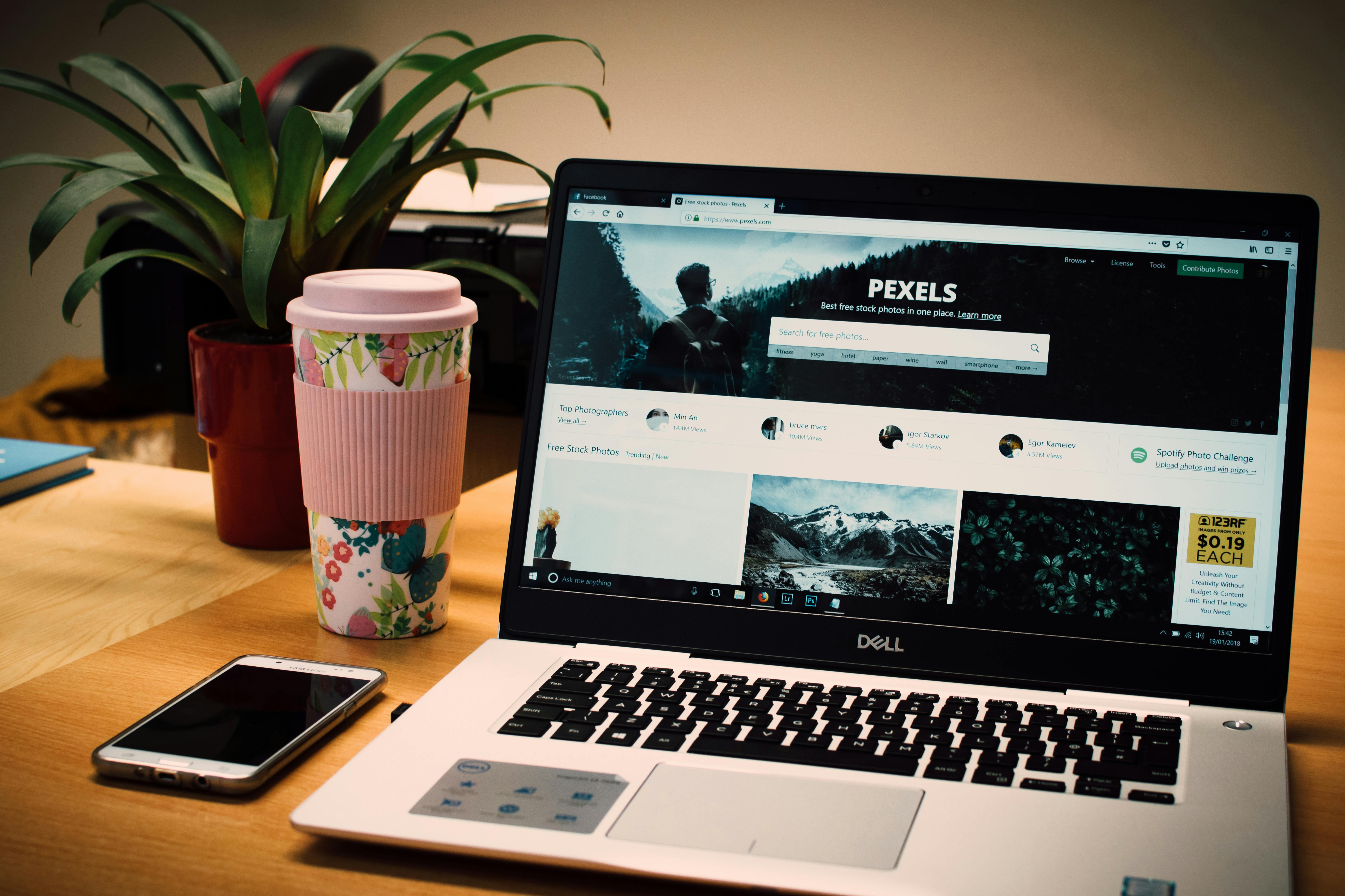 Web Development